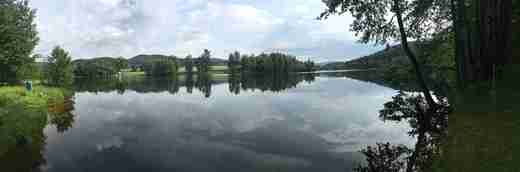 05_431_131_Lesik2 (1).jpg