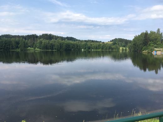 05_431_131_Lesik6.jpg