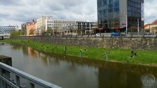 100_0845.JPG