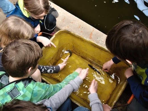 Po namočení rukou si děti prohlédly chované druhy ryb