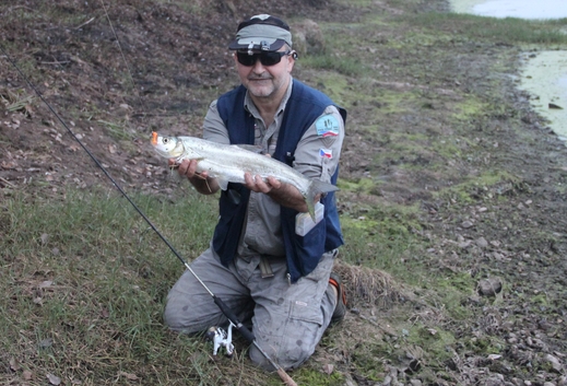 19 river tarpon 57cm22222.jpg