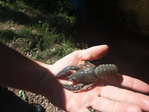 20180714_154640.jpg