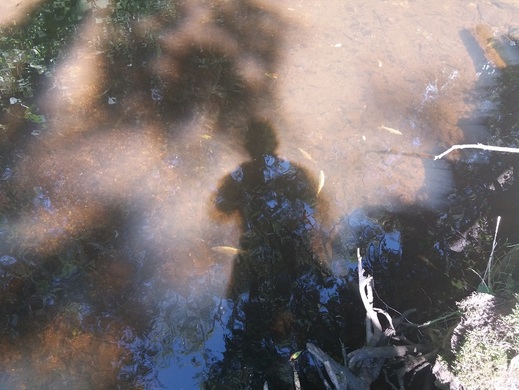 20180714_154811.jpg