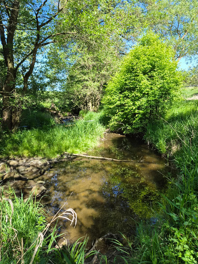 20260525_094658.jpg