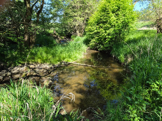 20260525_094701.jpg