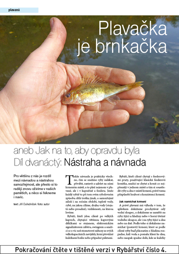 58.jpg