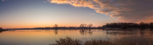 elbe-3009526_1920 (1).jpg
