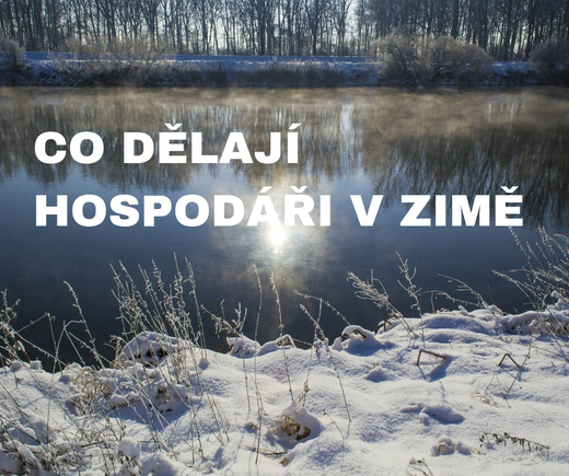 HOSPODAR_ZIMA.jpg