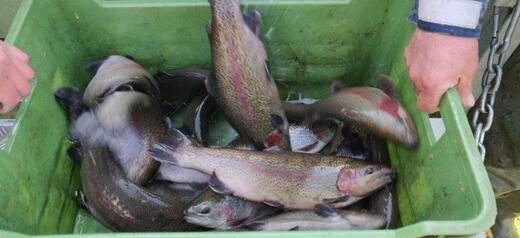 IMG_20210421_091845.jpg