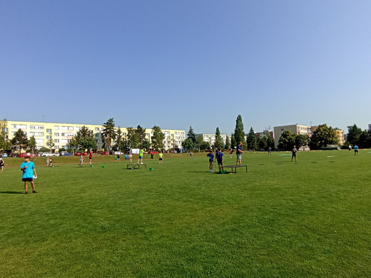 IMG_20230618_085813.jpg