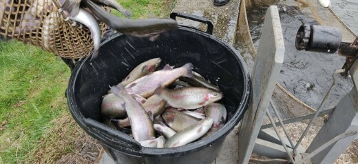 IMG_20250415_080941.jpg