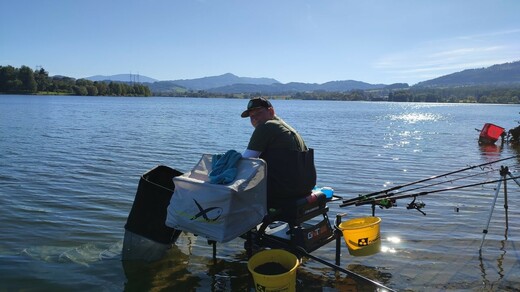 IMG_20251004_140324.jpg