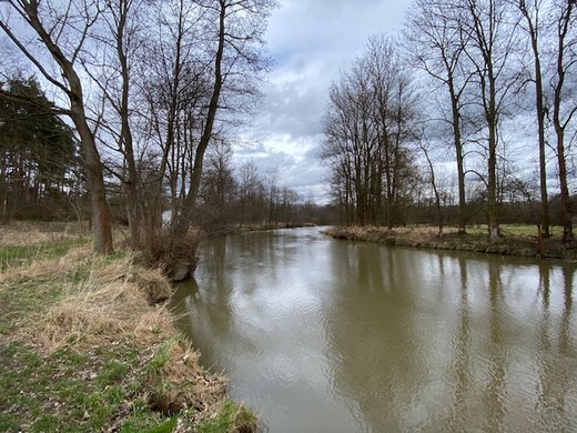 IMG_5006.JPG