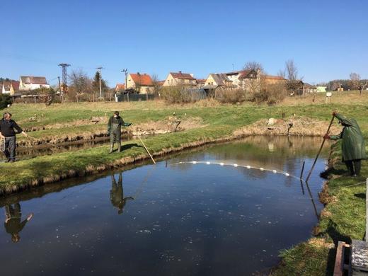 Jarni_vysazovani_202019.jpg