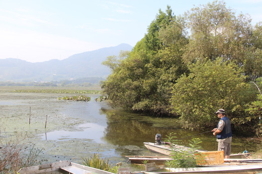 Jezero Junam