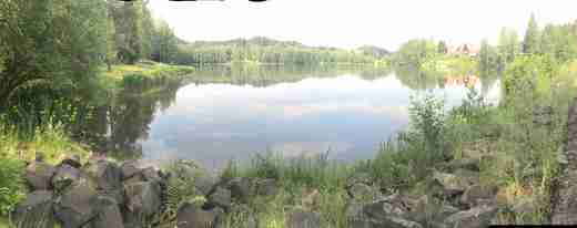 Lesik_05_431_13303.jpg