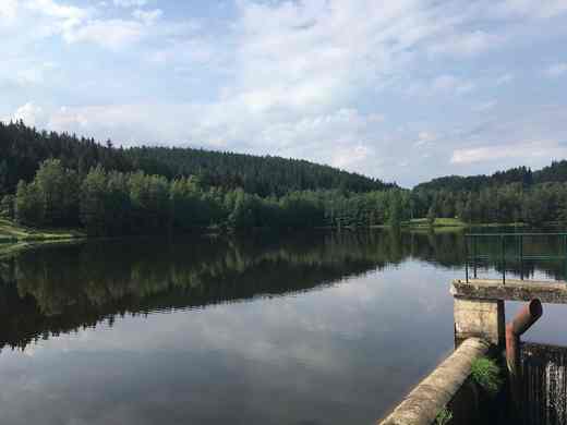 Lesik_05_431_13307.jpg