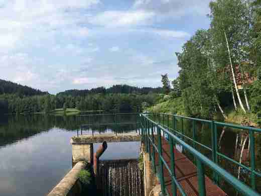 Lesik_05_431_13308.jpg
