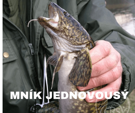 mník.jpg