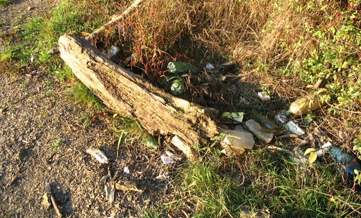Nepořádek na revíru Klabava 431014.jpg
