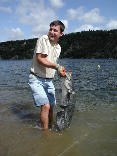 P7020016.JPG