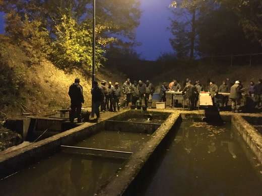Poszimni_vysazovani_201810.JPG