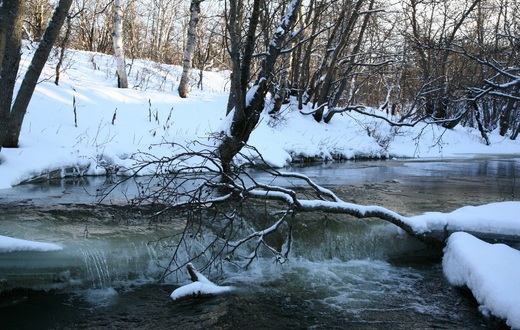 river-2611393.jpg