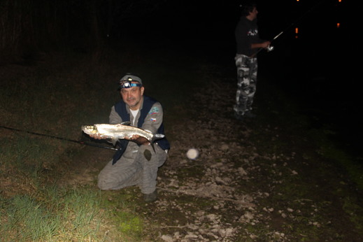River tarpon 1