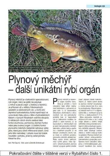 RY01_511.jpg