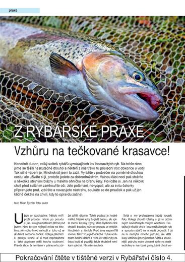 RY04_26-30 tychler-prelom.indd1.jpg