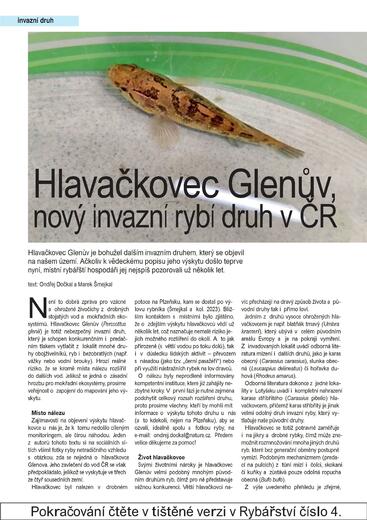 RY04_52-54 hlavackovec.indd1.jpg