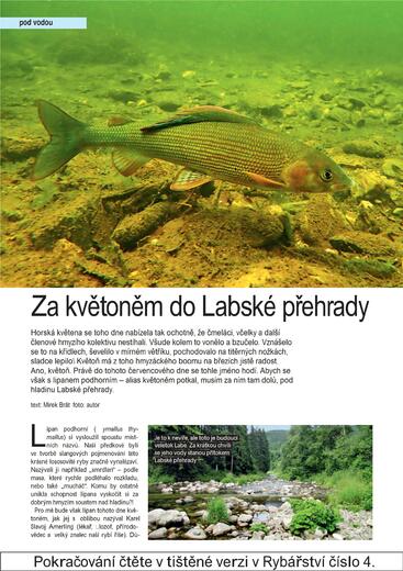 RY04_60-62 lipan-prelom.indd1.jpg