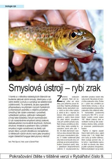 RY09_54-57 biologie1.jpg