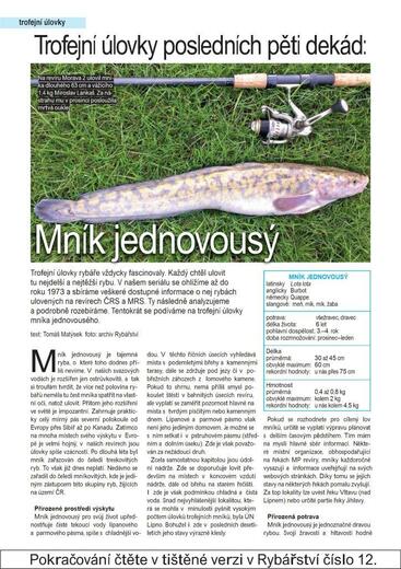 RY12_16-23 mnik1.jpg