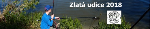 Slider_Zpc09.JPG