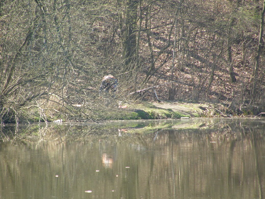 Spolecna_kontrola_RS6.JPG