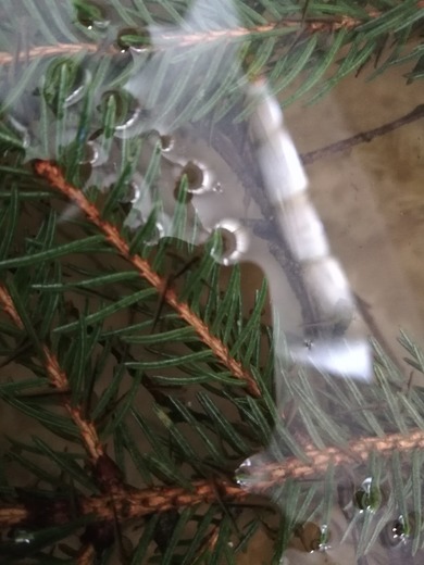 Sticka_201923.jpg