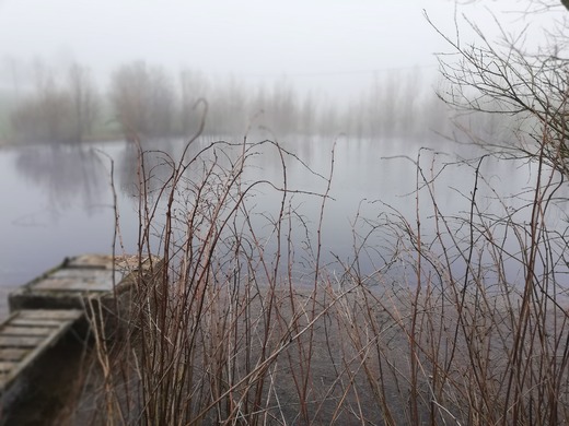 Sticka_201929.jpg