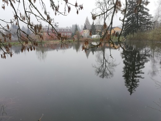 Sticka_201931.jpg