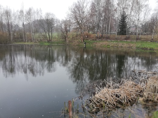 Sticka_201934.jpg