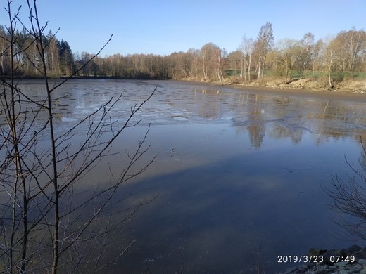Vylov_Cerny_rybnik2.jpg