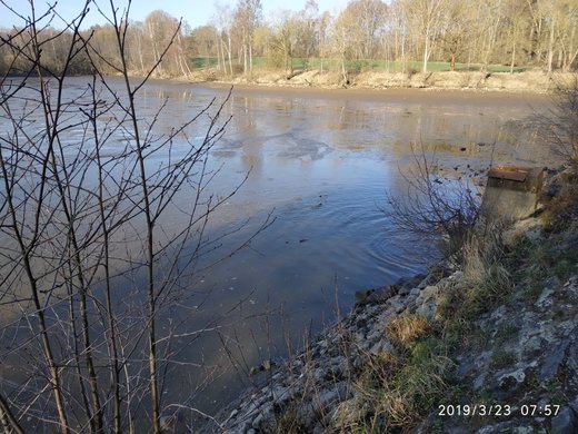 Vylov_Cerny_rybnik4.jpg