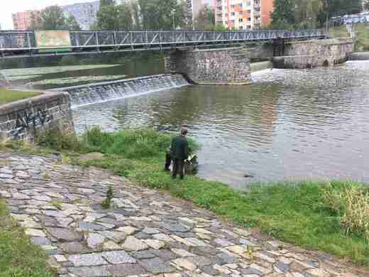 Vysazeni_ostroretka_201916.jpg