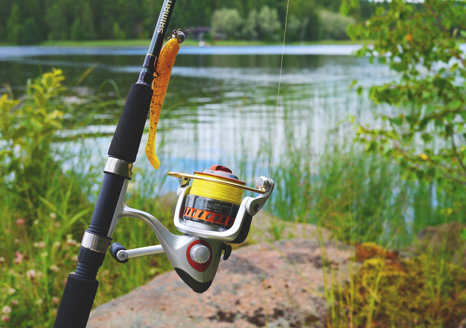 fishing-887522_1920.jpg