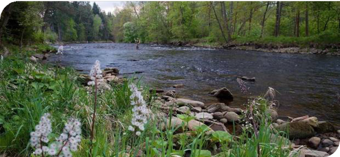 LRU Muška řeka 2026.png